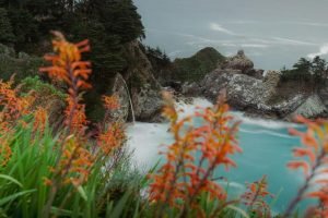 Ocean Through Flowers